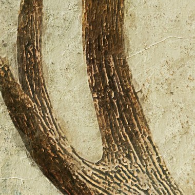 fragment copy1535